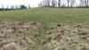 Adena Indian Mound.jpg