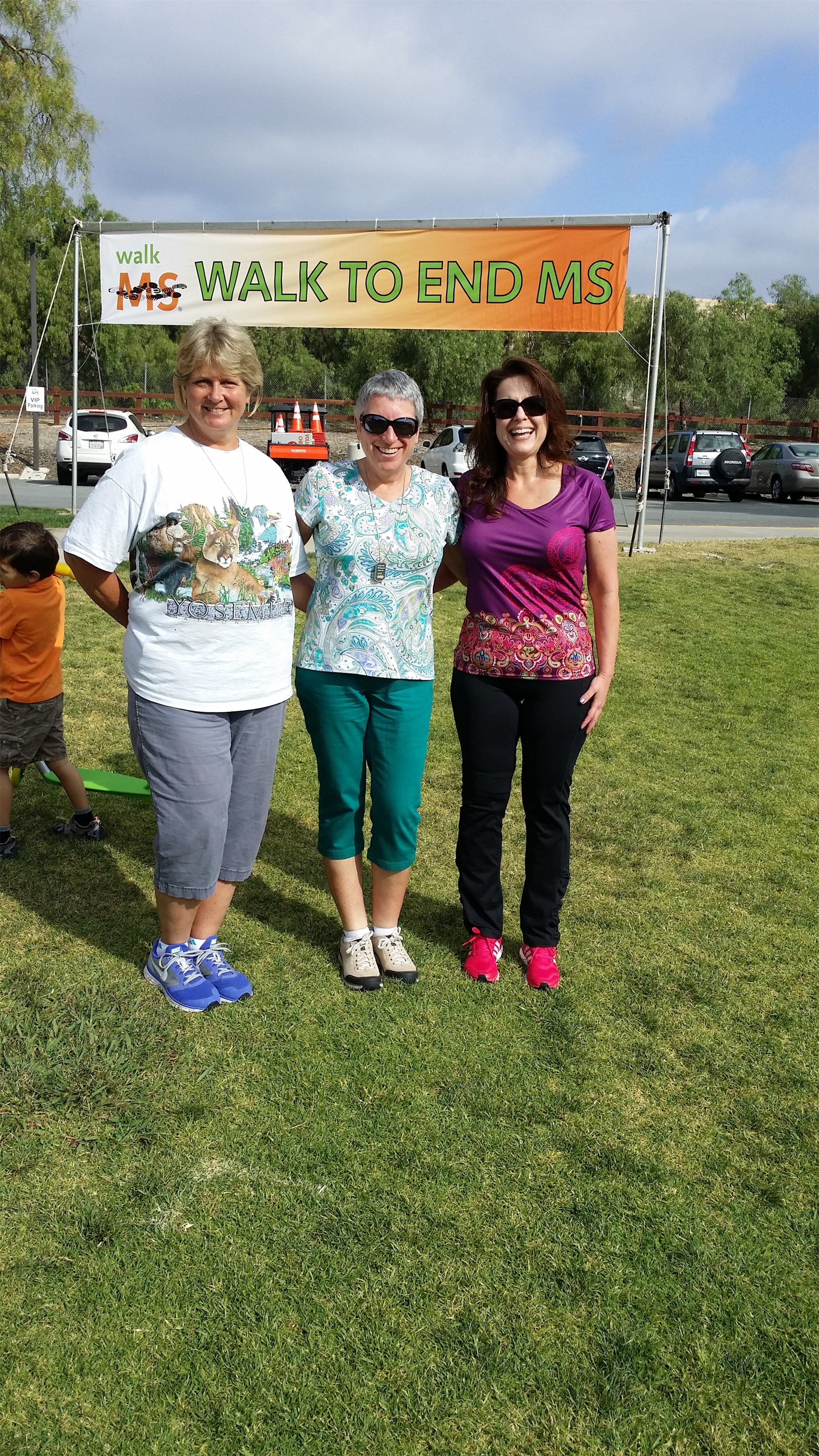 Walk MS 2014