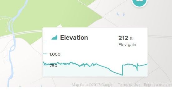 Elevation.jpg