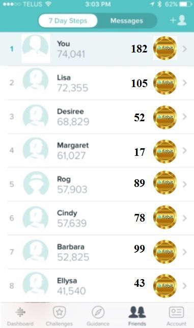 Fitbit Token Screen.jpg Fitbit Token Screen.jpg