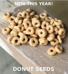 Donut Seeds.jpg