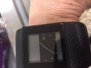 fitbit.jpg