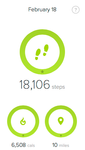 Fitbit imported 18,106 steps from iPhone