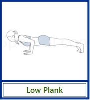 Plank12.JPG