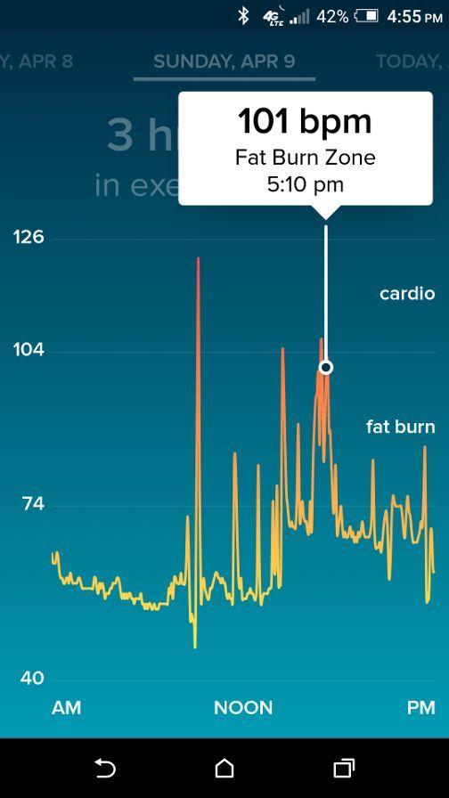 Heart_Rate.jpg
