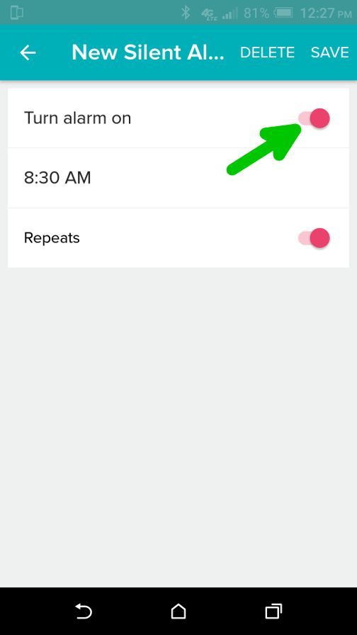 Silent Alarm.jpg