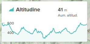 X_Fitbit-02.png