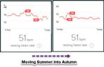rhr summer autumn 2017.jpg