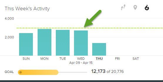 activity.jpg