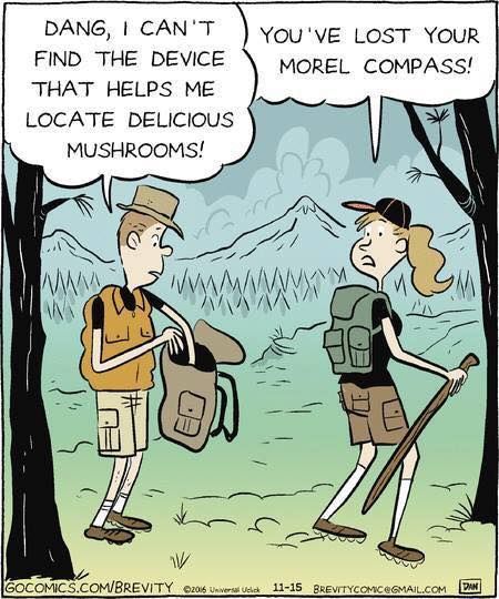 Morel_Compass.jpg