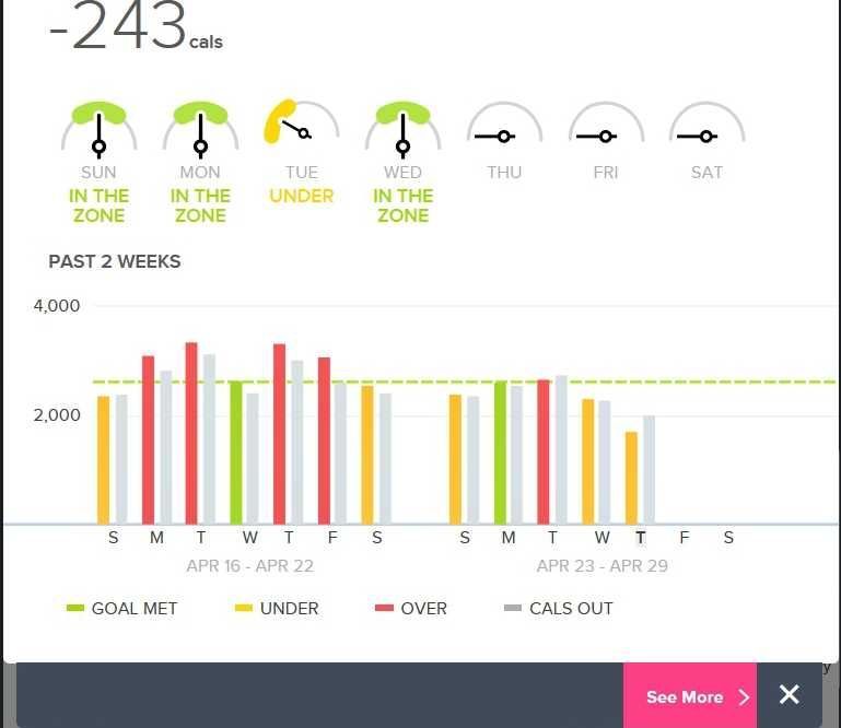 fitbit.com dashboard