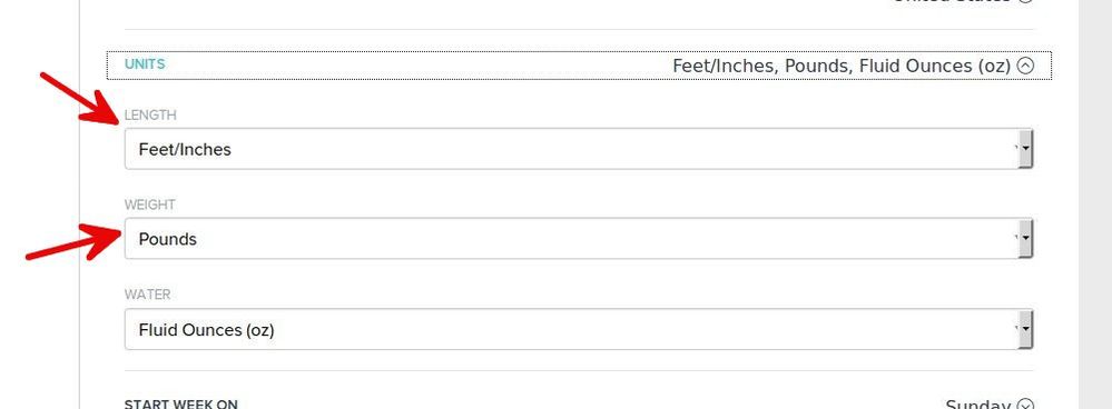 Measurements.jpg