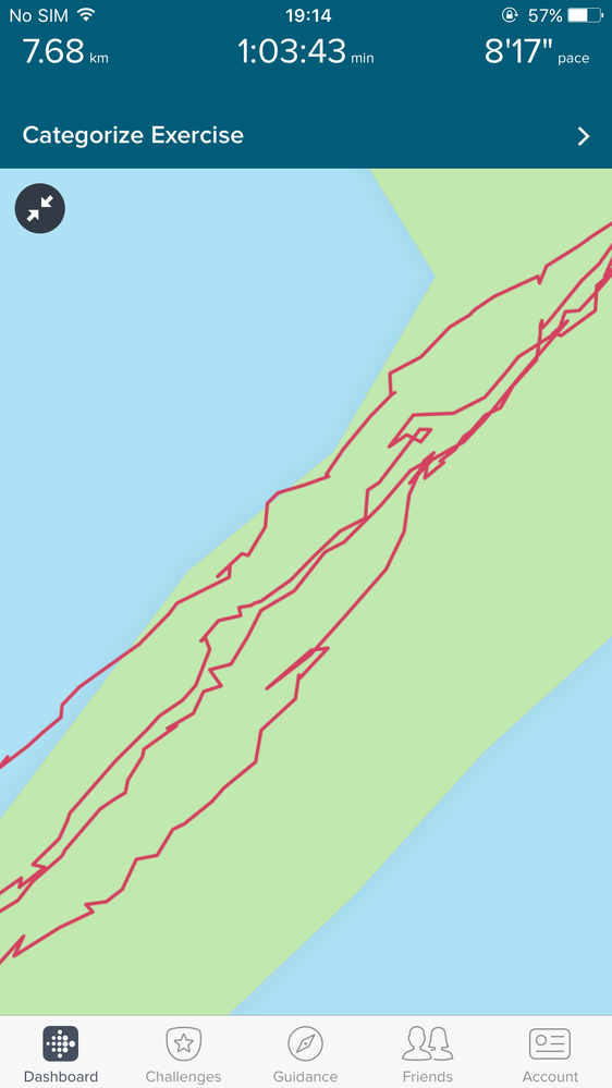 These red lines should be straight. I did not drink before walking.