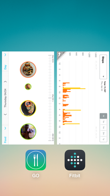 GO_App_Plus_Fitbit_Apr-24.png