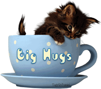 -HUGS-cute-kittens-10370527-340-300