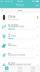 Fitbit Screenshot