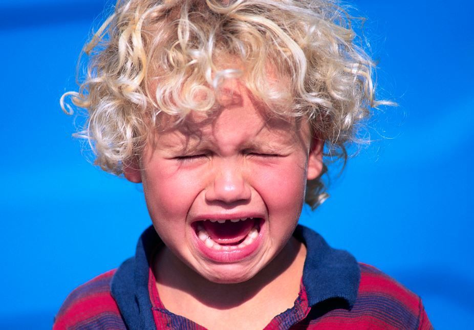 fitbit-tantrum.JPG