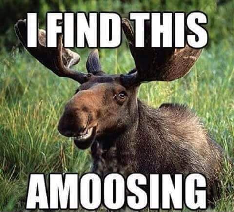 We need some humor injected here