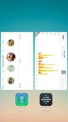GO_App_Plus_Fitbit_Apr-26.png