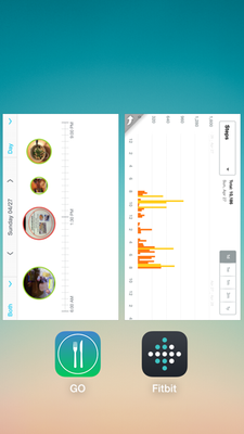 GO_App_Plus_Fitbit_Apr-27.png