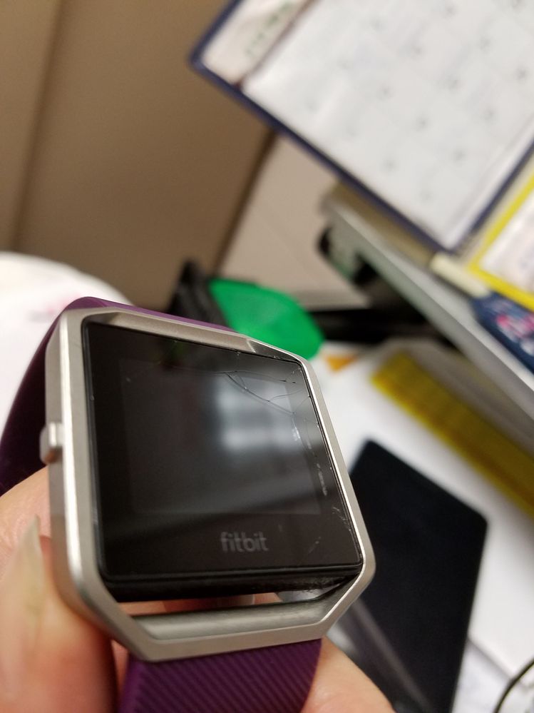 20170602_093359[1].jpg