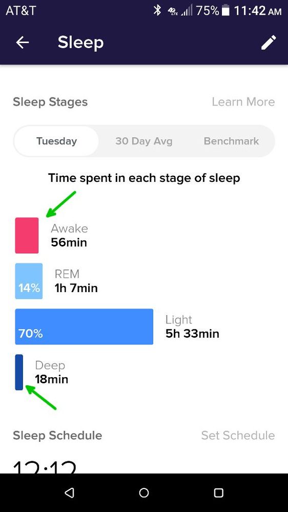 Sleep Stages 1.jpg