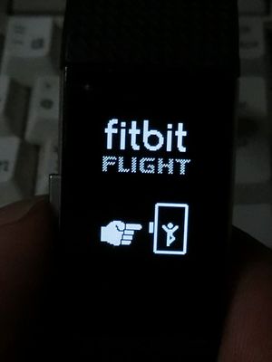 fitbitf.jpg