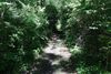 Trail-L.jpg