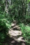 Trail-P.jpg