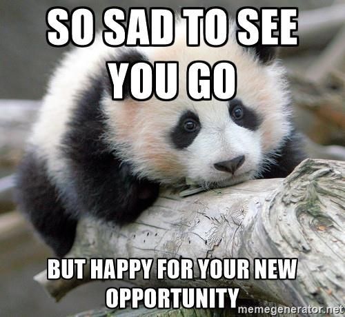 Sad To See You Go.jpg