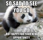 Sad To See You Go.jpg