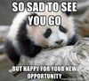 Sad To See You Go.jpg