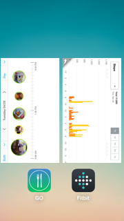 GO_App_Plus_Fitbit_Apr-29.png
