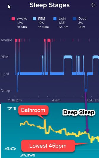 fitbit abnormal heart rate