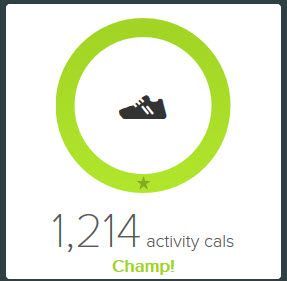 TRainer tile 3.jpg
