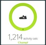 TRainer tile 3.jpg