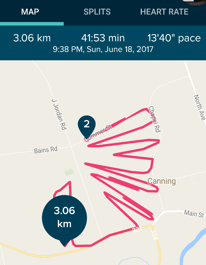 Fitbit tracking of walk