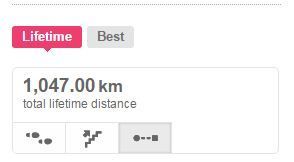 Lifetime Distance.JPG