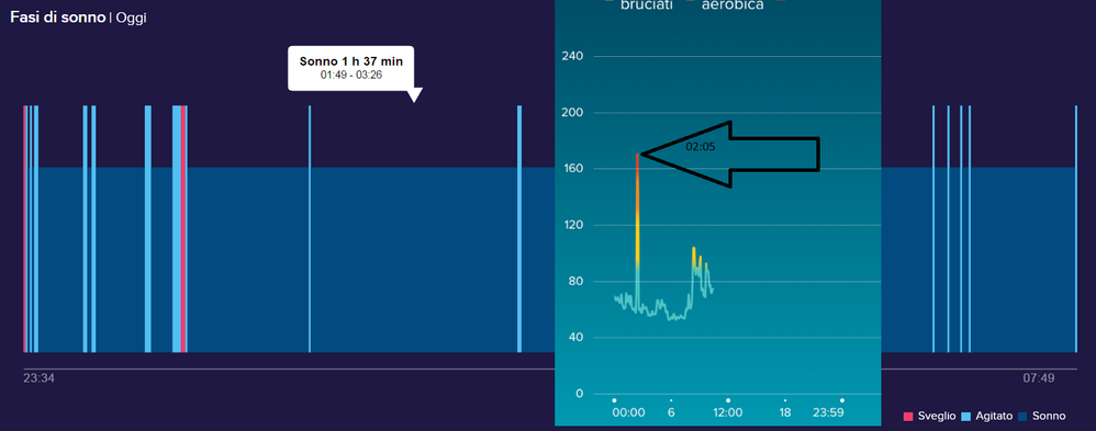 fitbit_23_06_2017.png