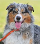 IMG_0070 smaller copy.jpg