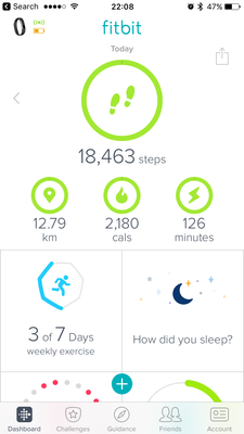 Fitbit Steps & Calories