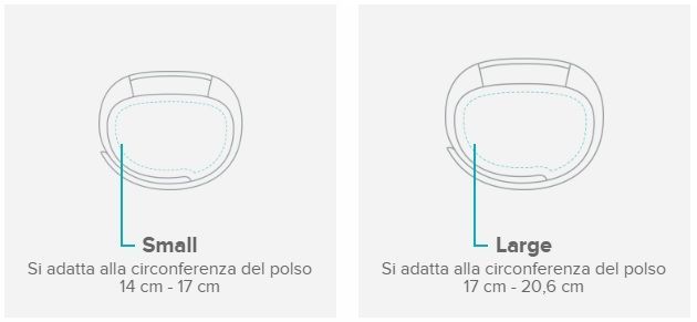 taglia.jpg
