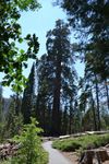 DSC_0079 10x15.JPG