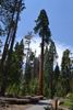 DSC_0080 10x15.JPG