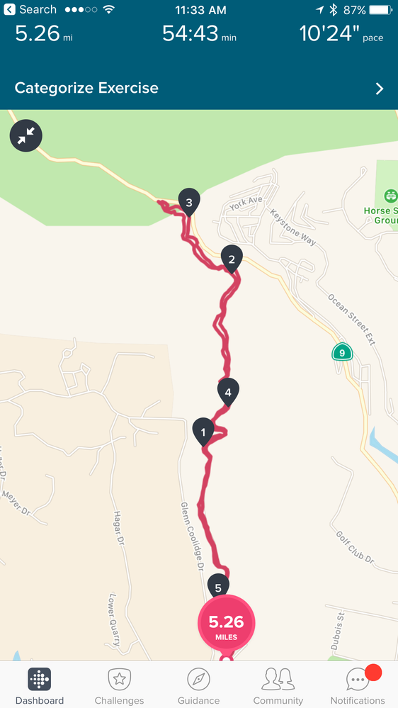 Charge 2 connected GPS inaccurate distance Fitbit Community