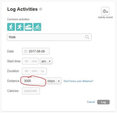 fitbit-manualactivity.JPG