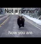 1526308_10152398348914759_2443180527432675933_n.jpg