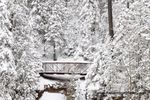Duluth 2013 Christmas.jpg