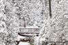 Duluth 2013 Christmas.jpg