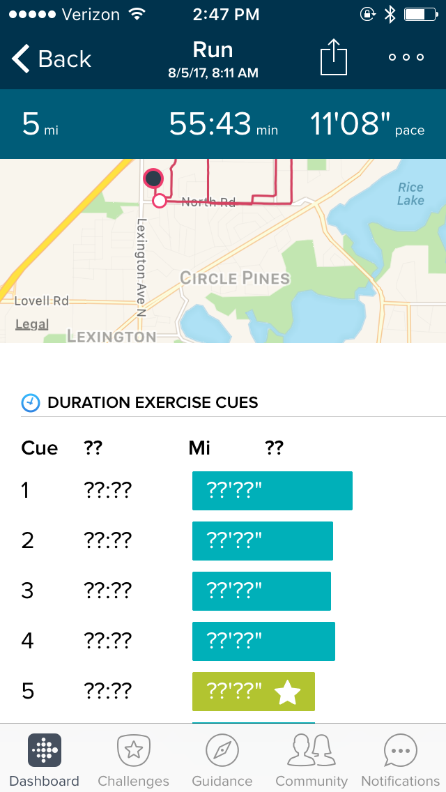 Fitbit 2025 run map